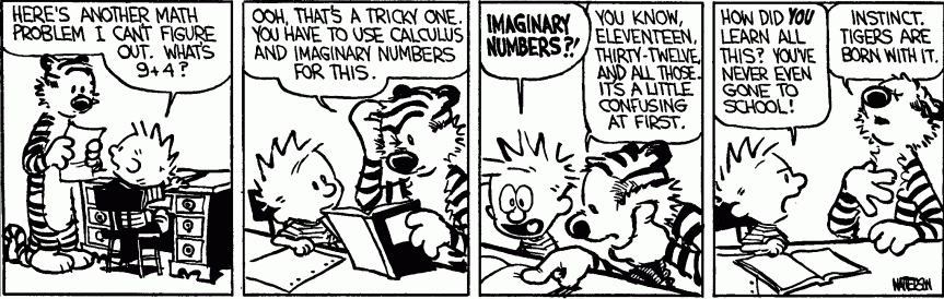 calvinhobbes-imaginarynumbers